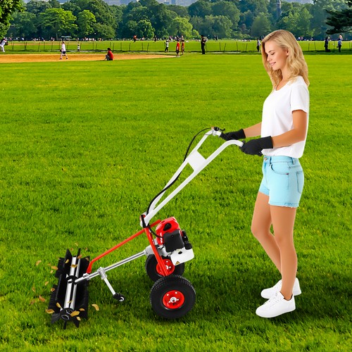 Artificial grass sweeper brush - grass,